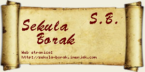 Sekula Borak vizit kartica
